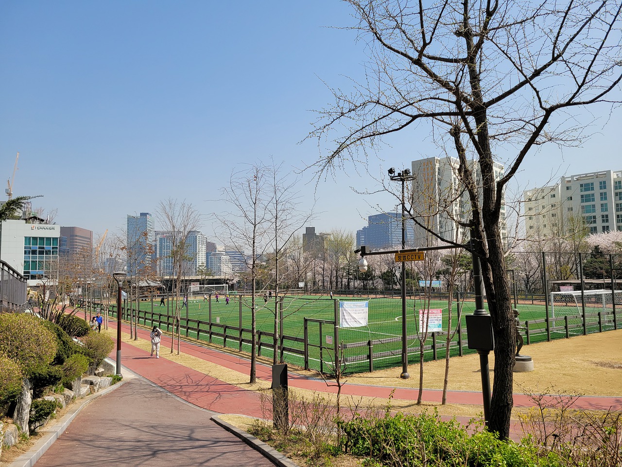索默表示感