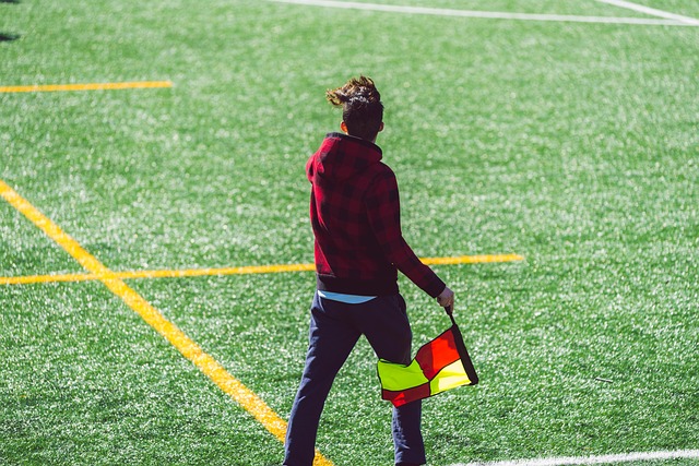 可以在平台 可以在平台