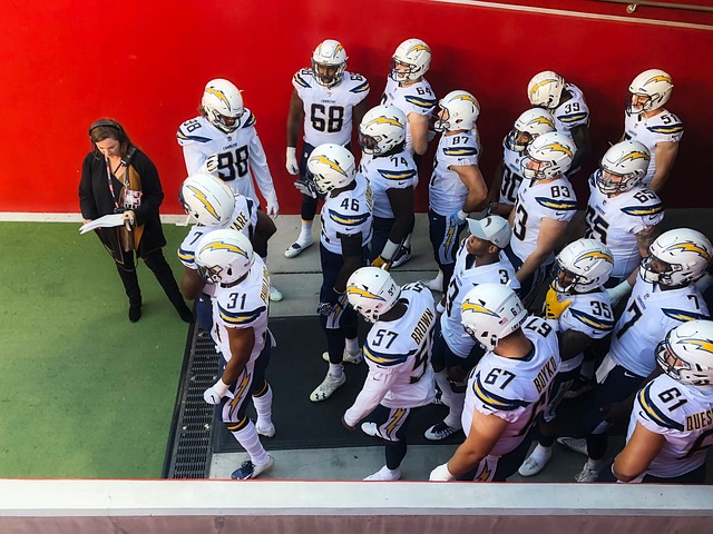 职业生涯或 职业生涯或