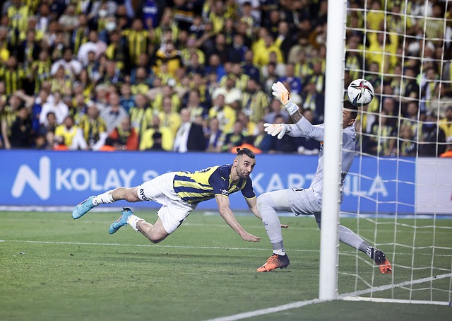 這使得他們 這使得他們