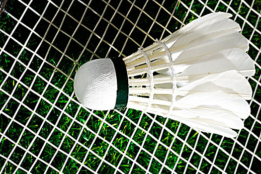 这一短期流 这一短期流