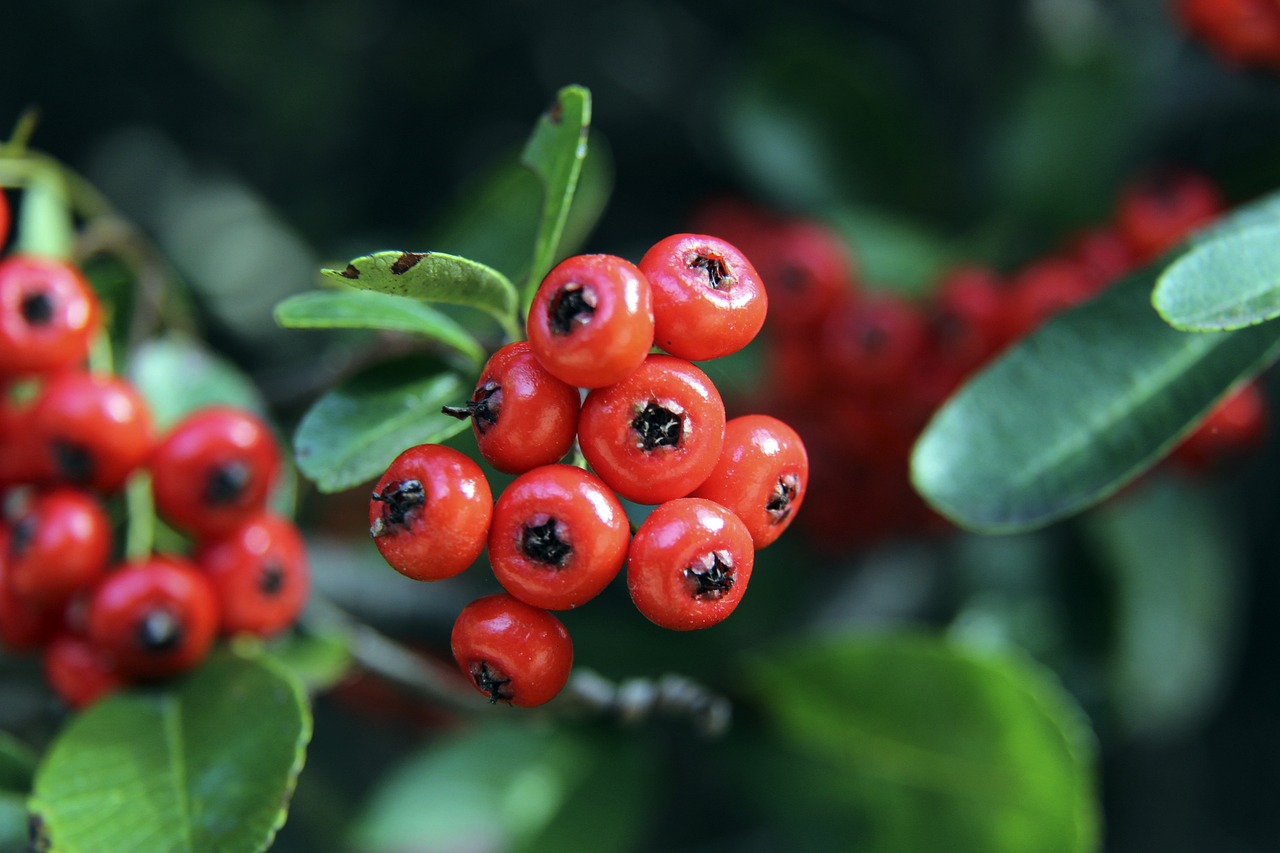 也让参赛者 也让参赛者